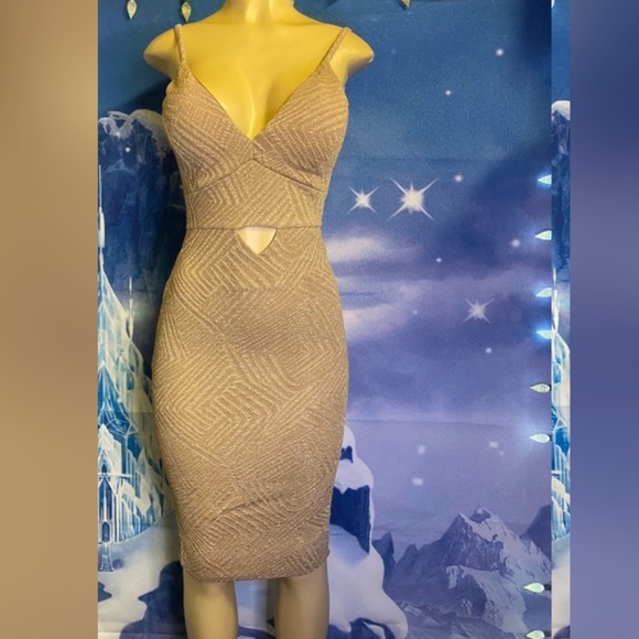 Windsor | Dresses | Windsor Golden Prom 